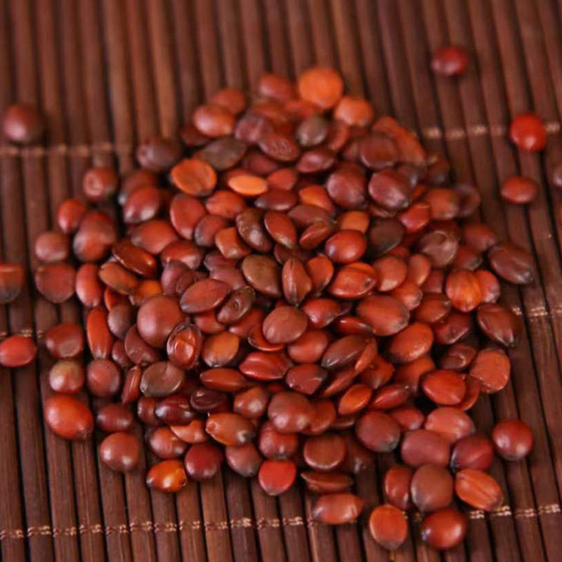 中药材酸枣仁:河南生枣仁与炒枣仁,谁才是助眠神器?-酸枣仁-淘宝百科网