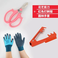 Красные шипы+перчатки+разрез цветка