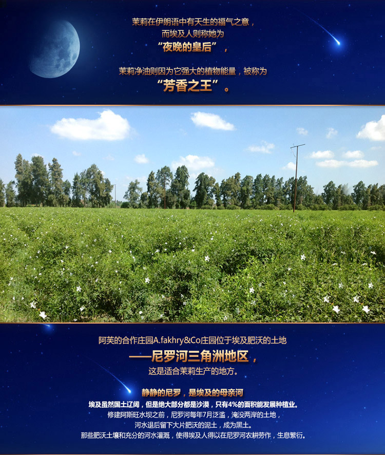 阿芙茉莉净油产地尼罗河三角洲地区