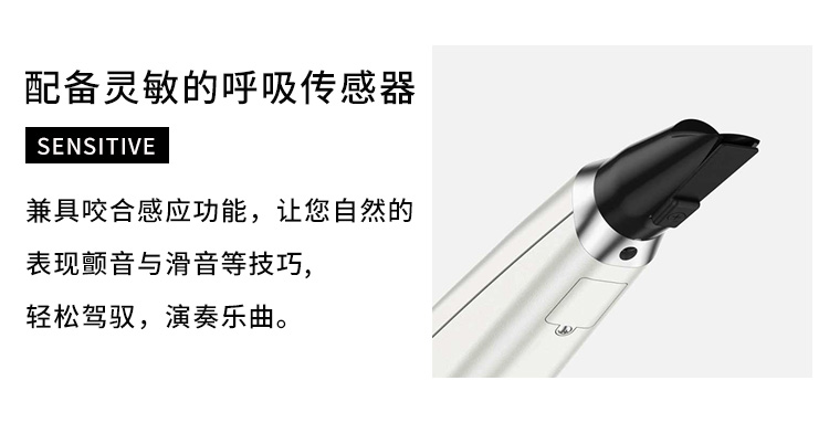 Roland Roland dụng cụ thổi điện ae-10 ae-05 người lớn mới bắt đầu thổi ống điện tử saxophone điện chuyên nghiệp - Nhạc cụ MIDI / Nhạc kỹ thuật số mic rời cho pc