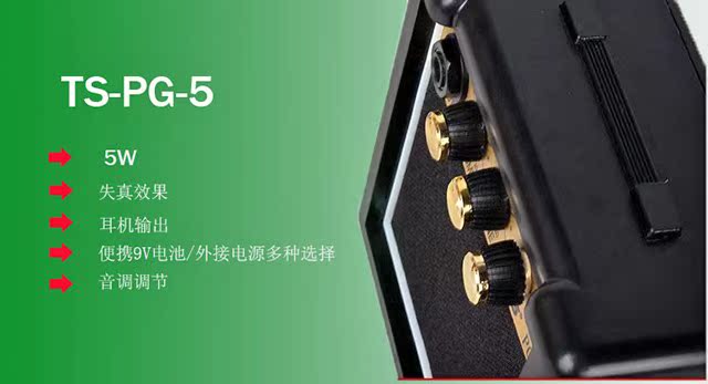 Chính hãng TS Tang Sheng 5 Wát Xách Tay Mini Guitar Nhạc Cụ Pin Điện Dual-sử dụng PG5 Gửi Phụ Kiện loa dynaudio