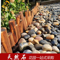 Pebble Rainforus Fish Bowl Flower Stone Natural Small Stone Trinity Decorated Garden Paved Rock