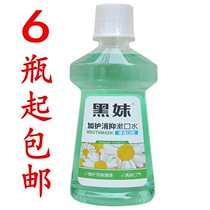 6 bottles of Black Sister Mouthwash 250ml Wild Chrysanthemum fire mint breath portable mouthwash