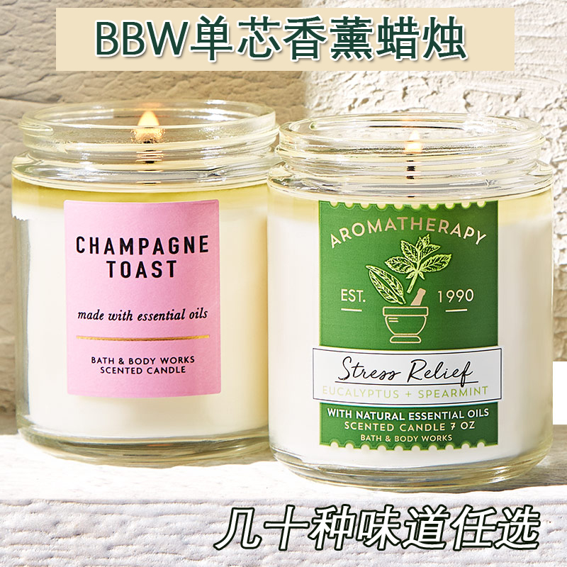 BBW Indoor Smokeless Aromatherapy Essential Oil Candle Single Core BathBody Works Winter Cedar 198g