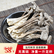 Hairy mushroom dry fungus special fresh non - wild crisp mushroom dry mushroom cooker soup 500g mushroom