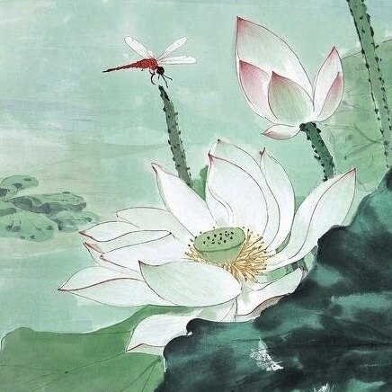 玲小荷伴手礼