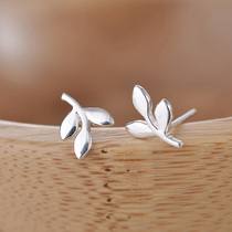 Gorgeous pure silver personality leaf stud earrings female Korean temperament earrings creative wild 925 silver hypoallergenic ear Ding female