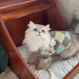 Ретро брендовый свитер, демисезонный удерживающий тепло жилет