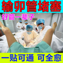 Fallopian Tube Containment-Sei Conditioning Palace Chill Basin Cavity Inflammation Muttering of Stagnant Water Accumulation of Infertility Pregnancy Pro-Ovulation Eggs