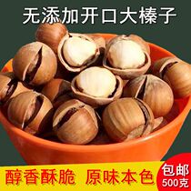 Opening large hazelnut 500g Northeast special production thin leather New stock Original Taste Iron Ridge Dried Fruits Pregnant Women Nut Fried