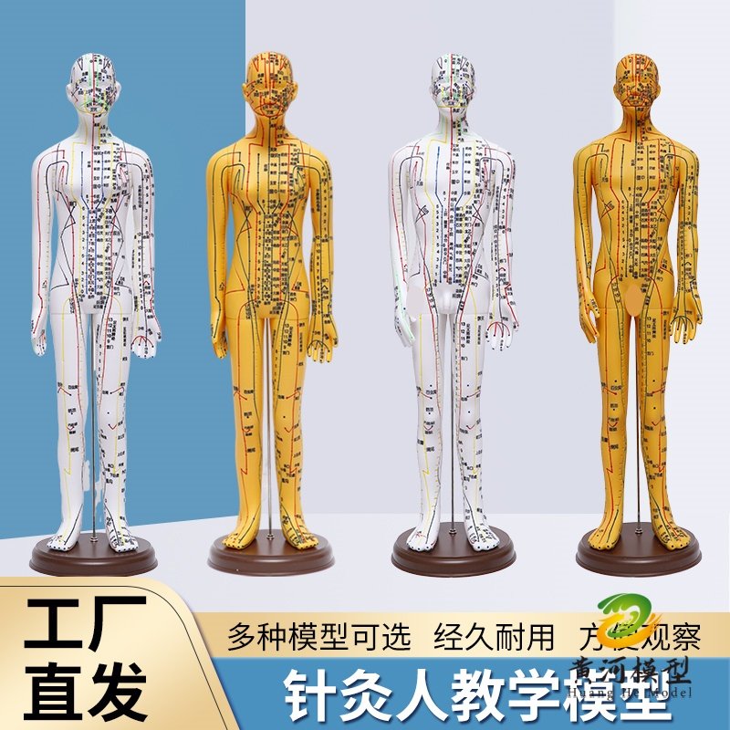 超清大字人体针灸穴位模型经络铜人刻字教学中医学男女穴位针灸人
