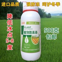 Imported plant antifreeze cold current flower vegetable seedlings plant strawberry antifreeze antifreeze fruit tree 500g