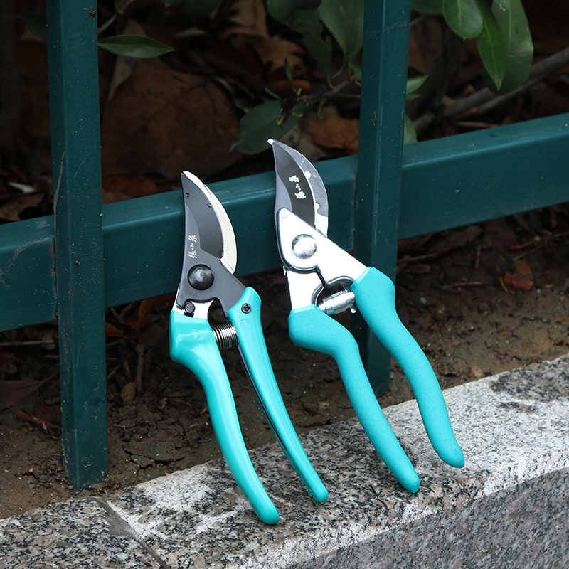 Zhang Xiaquan Chunyue series ZH - 309 garden pot scissors ZH - 312 branch trim cut cut cut cut