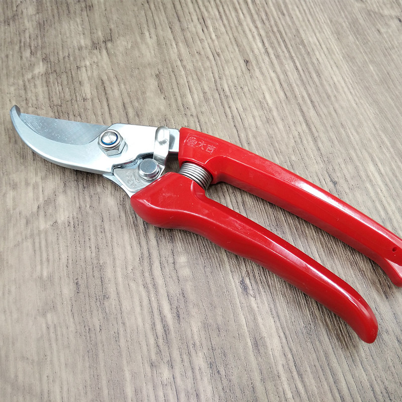 Daji Horticultural whole branch shears Tree branch scissors Flower fruit wood shear Import steel DJ-187