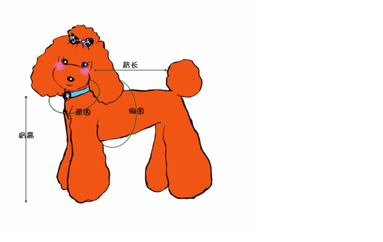 # 宠物 Quần áo mùa xuân và mùa hè Chó Teddy áo rắn màu áo polo Chó quần áo thú cưng - Quần áo & phụ kiện thú cưng quần áo mèo