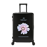 Рассвет Дейзи-черный