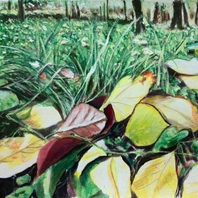 阿非漂流绘