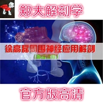 Zheng Da 2019 Teacher Xu peripheral nerve application and anatomy advanced class 20 lectures full version of the tutorial