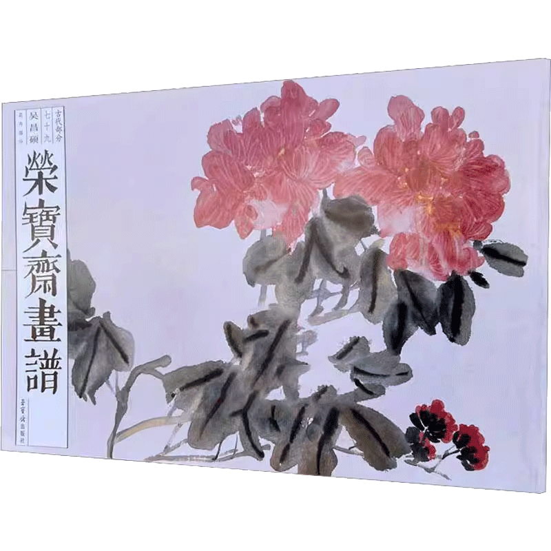 正版跟徐湛学国画二中国花鸟画研修院系列教材徐湛国画中国传统水墨画