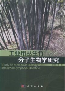 正版包邮 工业用丛生竹研究 分子生物学 书籍