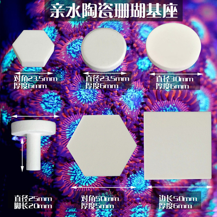 Water Nation button Base Fracture of Broken Branches T-disc spamps Seawater Coral Rack Propagation Ceramic Base Round Hexagon