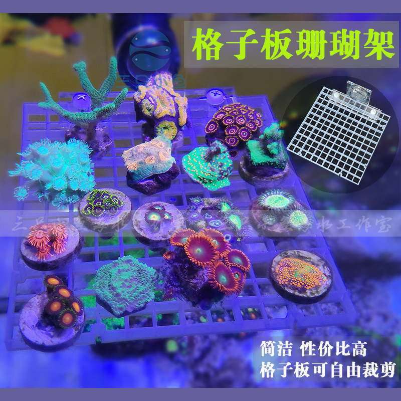 Sea water cylinder button Coral Strong Magnetic Suction Bracket T-based base Broken Branch Sps Broken Limb Seawater Propagation Rack