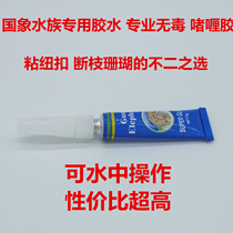 National Elephant Water Gel Gel Instantly Fixed Underwater Glue Button Broken Branches Coral Water Grass VIEW SPECIAL ALON HAIR