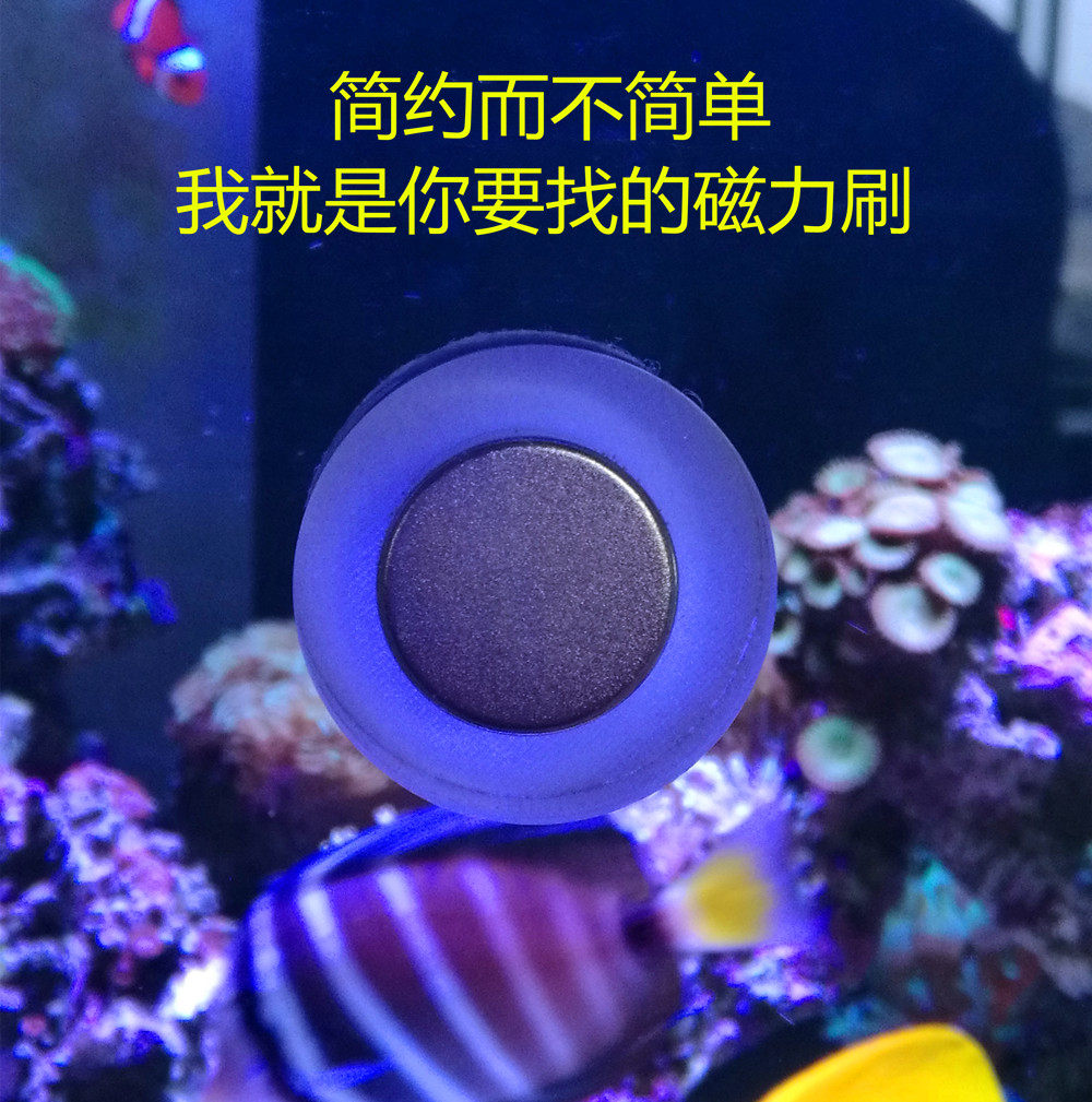 Super suction mini no dead angle magnetic brush tank wipe fish tank brush seawater tank scraping algae cleaning brush three small fish
