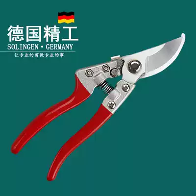 Flower scissors gardening scissors pruning shears pruning branches scissors garden tools pruning scissors branch scissors fruit tree peeler flower Trimmer