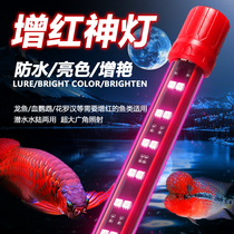 Fish tank brightening light led red light three primary color reddening waterproof diving light koi arhat red arowana special light
