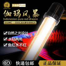 Gamma Storm second-generation timing fish tank hair color lamp dragon fish grilled color lamp Golden Dragon red dragon fish special light to add color