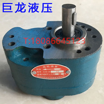 Changzhou Wujin Dragon Oil pump CB-B6 BB-B10 B4 B16 B20 B25 B32 B40 B50 B63