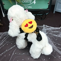 【Ремень тела】 huaxin