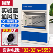 Phase Quay Laboratory Ventilation Cabinet Full Steel PP Ventilation Closet laboratory Anticorrosive Exhaust cabinet table Overall type worktop