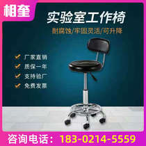 Primrose laboratory chair with backrest Work chair Lift-up rotating bar chair Workshop small round stool