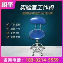 Beauty chair Experiment stool Work chair Barber stool Anti-static lifting swivel chair stool Bar stool with backrest stool