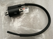 YAMAHA scooter accessories chooge I Seagle new Fuxi new patrol Eagle ashawk 125 ignition coil high voltage package
