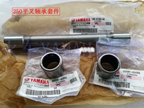 YAMAHA accessories Tianjian Wang YBR250 Flying YS250 (Country 3 country 4) rear flat fork bearing kit