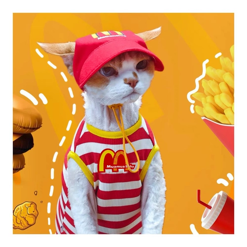 Muamuababy Cat Owne Comply Olde Sphinx Devin Интернет -кондиционер