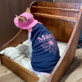 Muamuababy кошачья одежда кошачья одежда Devin Korean Print Sling Summer Pure Cotton Conditioning костюм