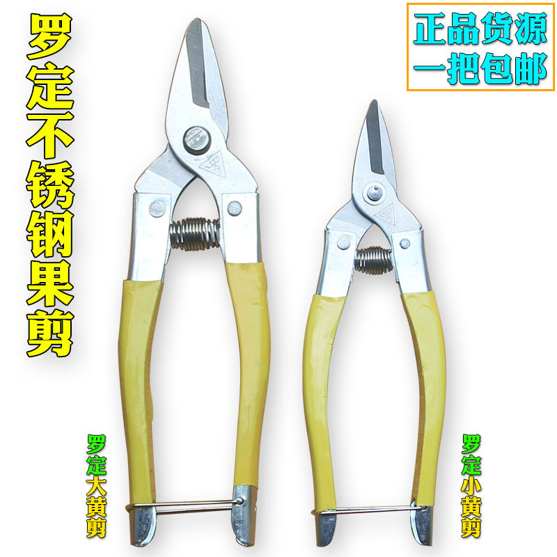 Authentic Roding stainless steel fruit cut with sand sugar orange special fruit scissors round head small rhubarb cut orange cut