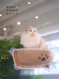 Монетный дуэт Joycat лодка на поллун