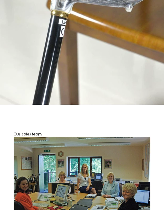 Anh nhập khẩu Classic Canes Claysco chống trượt mía mía điều chỉnh kính thiên văn trekking - Gậy / gậy
