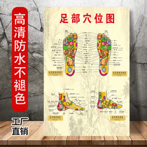 Human foot reflex zone wall map foot massage acupoint picture foot therapy acupoint foot soles beauty salon poster