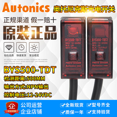 False one pays ten Otto BY500-TDT1 2 BYS500-TDT BEN300 BEN500-DDT DFR