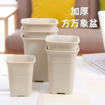 Extra thick square Vientiane basin frosted plastic fleshy green plant high waist black and white breathable root control sorrel flowerpot bracket