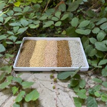 Still fine with succulents general pure particle mixed soil cactus ball old pile sedum stone flower orchid bonsai