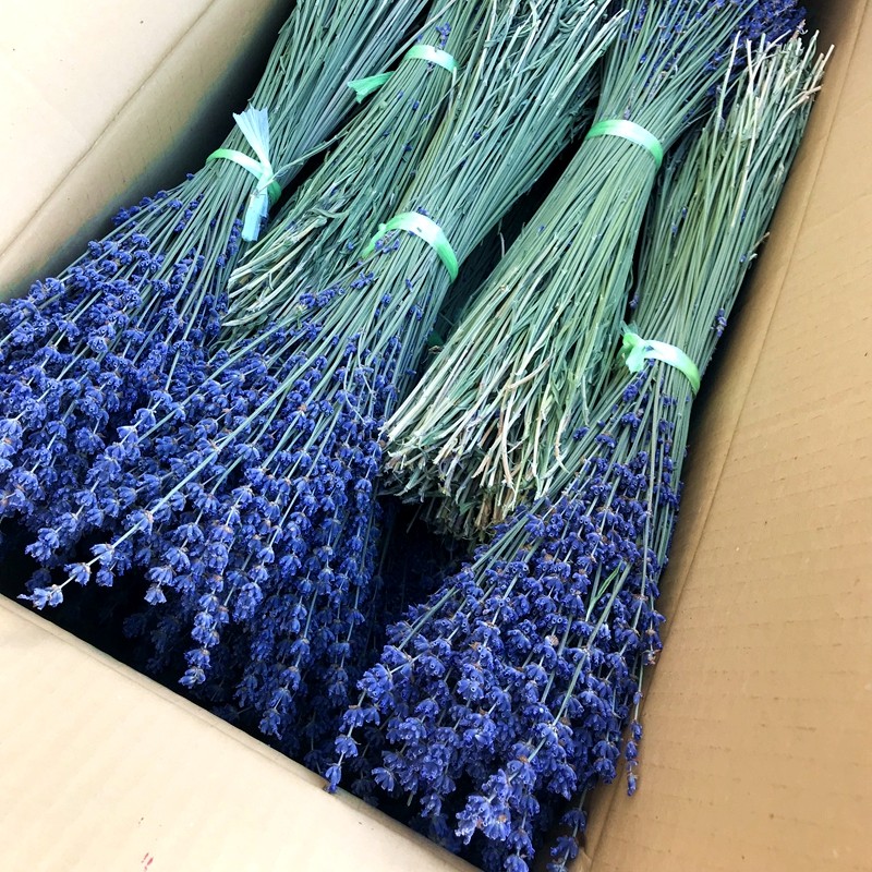 Лаванда сушеная. Крым. Лаванда сушеная. Чай лаванда 20 гр. Лаванда в пакетиках.