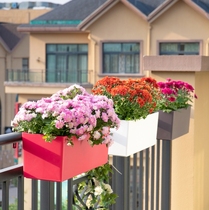 Municipal bridge rectangular overpass planting hanging basin saddle flower pot PP extra-large plastic viaduct road road
