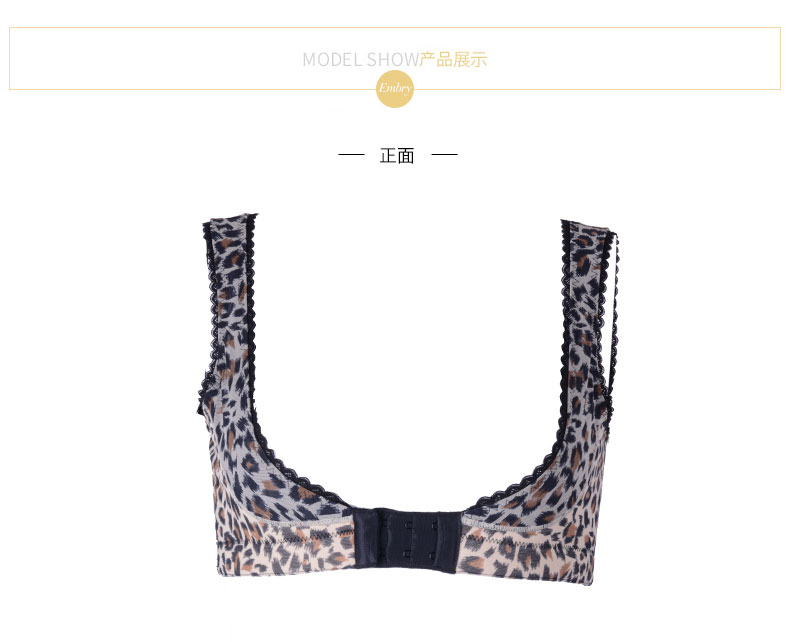 Body FY5080 - Ref 666823 Image 12